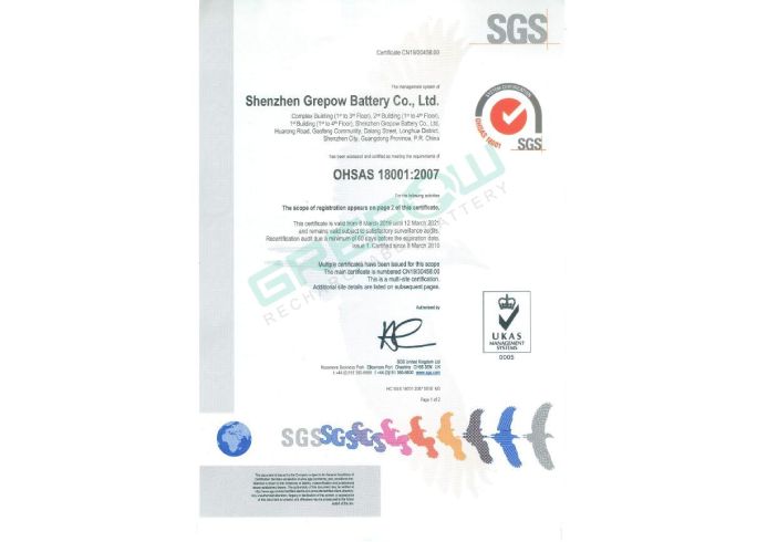 ISO 9001 - Quality Management System Certification  Grepow I